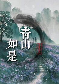 青山如故的含义