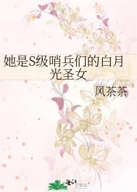 她是s级哨兵们的白月光圣女作者风茶茶