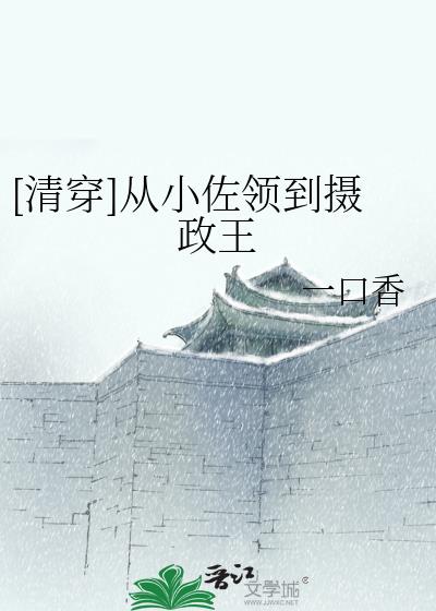 清穿小太子小说